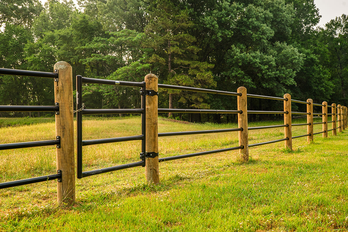 Ponderosa Fence 19